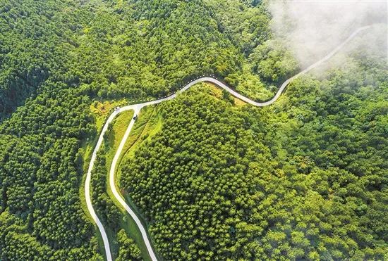 1681789053840064465.jpg 3.jpg