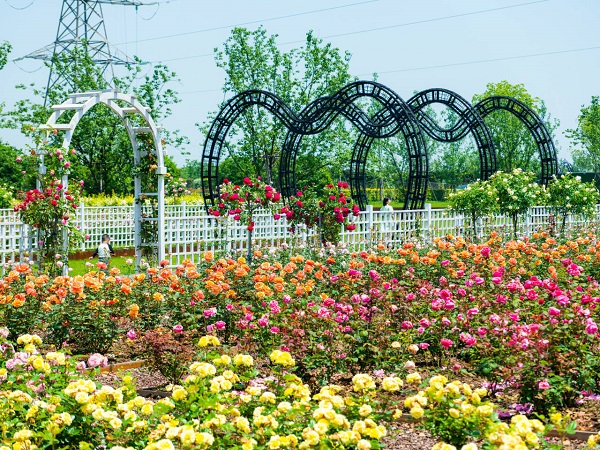 1683184754672097476.jpeg 1682838685978_644e149d233d094d580e9bf7.jpeg