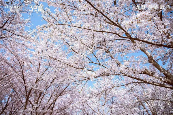 1680764327634013198.jpg 06-yt-1_副本.jpg