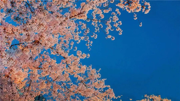 1680764364652001601.jpg 06-yt-4_副本.jpg