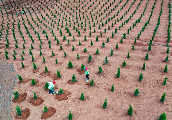 1681897454914057983.jpeg 1.jpeg