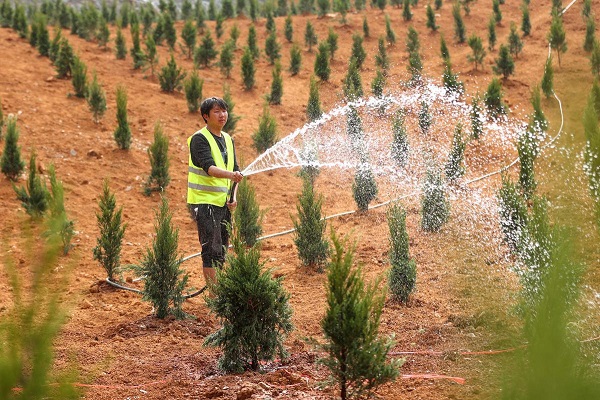 1681897438205083882.jpeg 3.jpeg