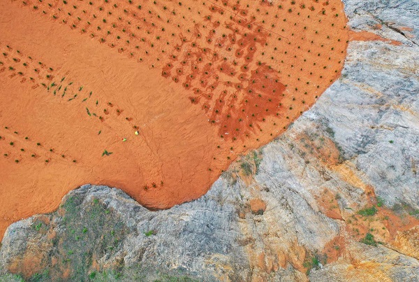 1681897431489017055.jpeg 4.jpeg