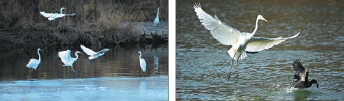 1682646826117060011.png 20230428_010_01_68232.png