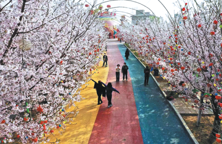 1684475527028004932.png 6466c303a310b1dec1353802.png