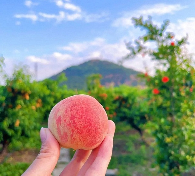 1685941844535019882.jpg 640.jpg