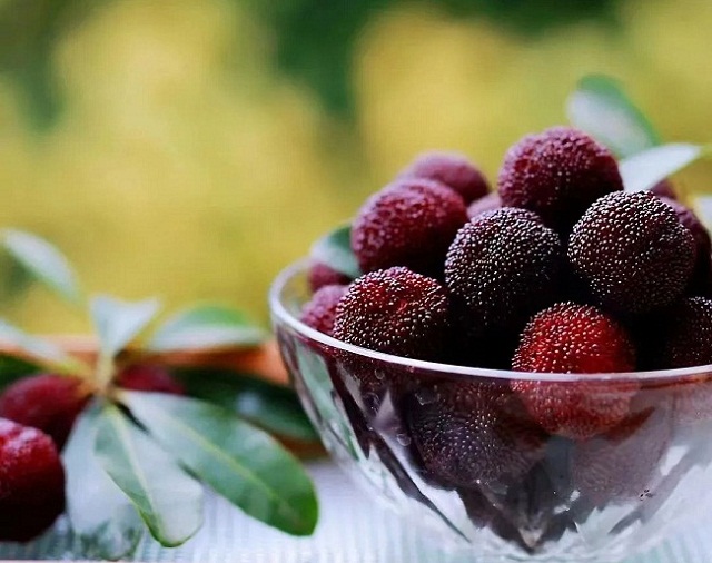 1685941866976094950.jpg 640 (2).jpg