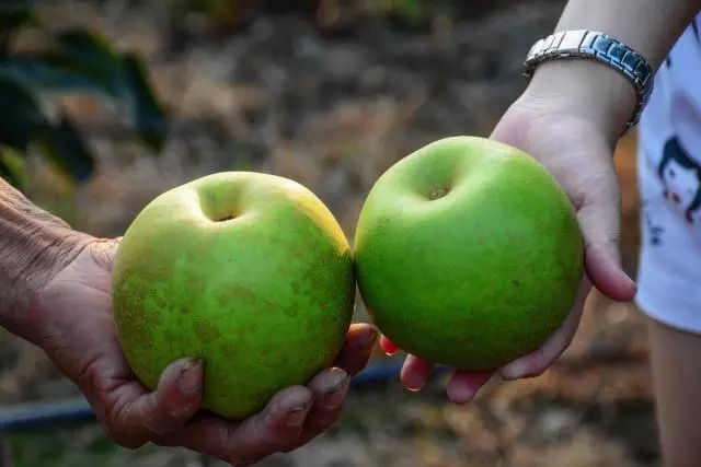 1685941874969001914.jpg 640 (3).jpg