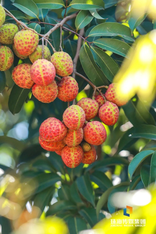 1686014367452088190.jpg 1.jpg