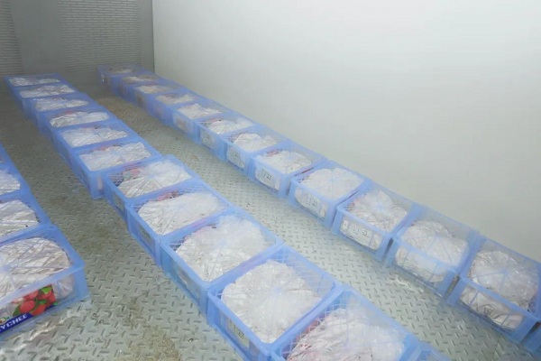 1686014388206049359.jpg 2.jpg