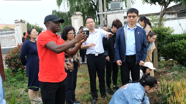 1685696443879090754.png taian2.png