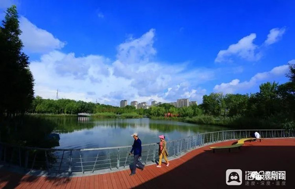 1686643794404015420.jpg 13-yt_副本.jpg