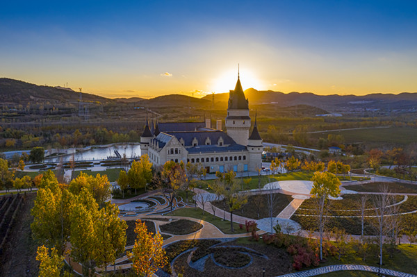 1686726389246060353.jpg 14-YT-葡萄酒_副本.jpg