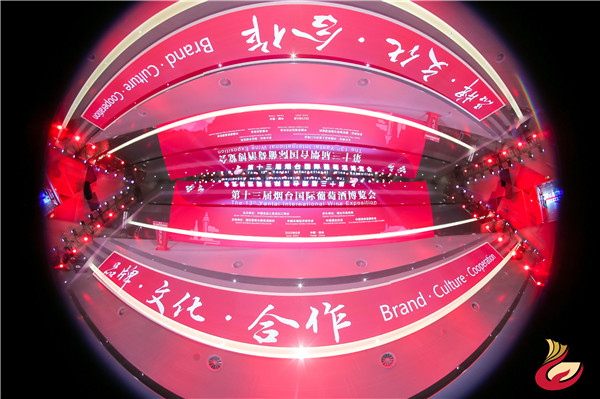 1686903673263065631.jpg 16-yt-2_副本.jpg