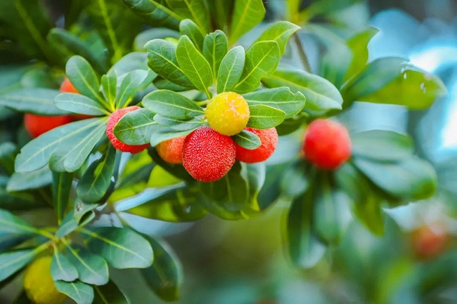 1686030123426066863.jpg 640 (2).jpg