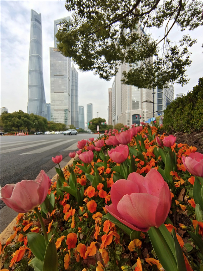 1679302874420005739.jpg 20-pd-1_副本.jpg