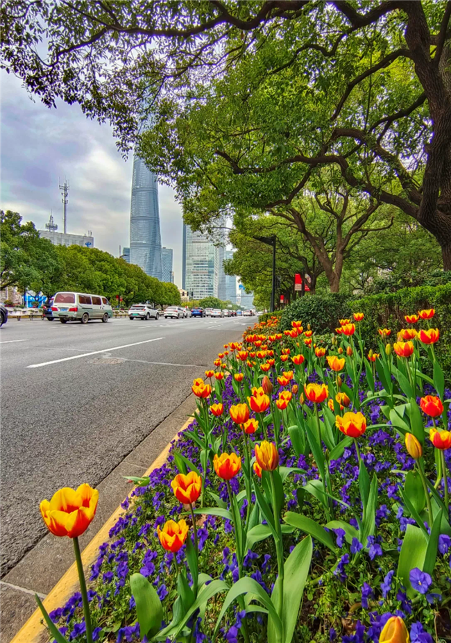 1679302893034028843.png 20-pd-2_副本.png