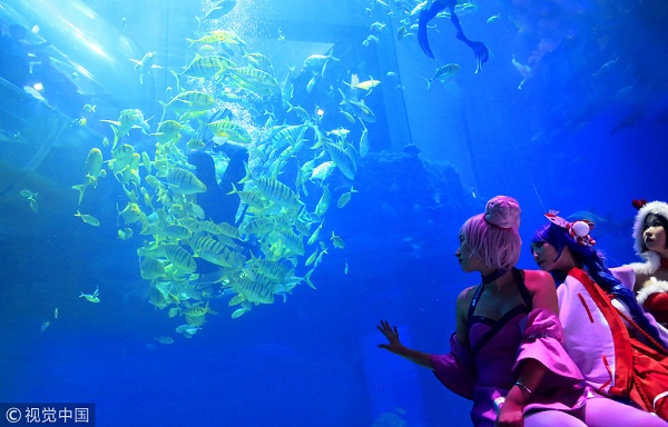 1572933270640032389.jpeg 5d79fd12498ebcb1177e33ba.jpeg