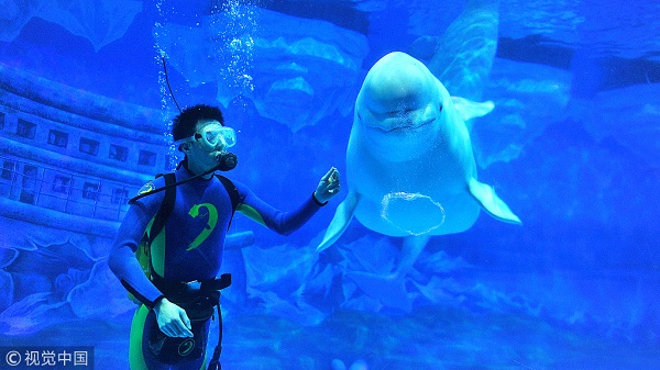 1572933279768002881.jpeg 5d79fd12498ebcb1177e33bc.jpeg