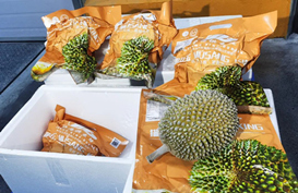Qinzhou imports 20 tons of Malaysian durians