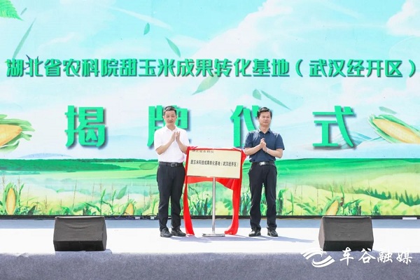 1686644210430084271.jpg 车谷1.jpg