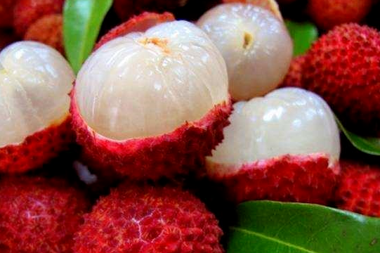 Juicy lychees