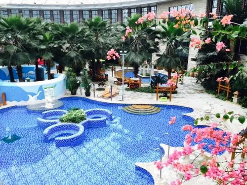 1522567319265058393.jpg 5.jpg