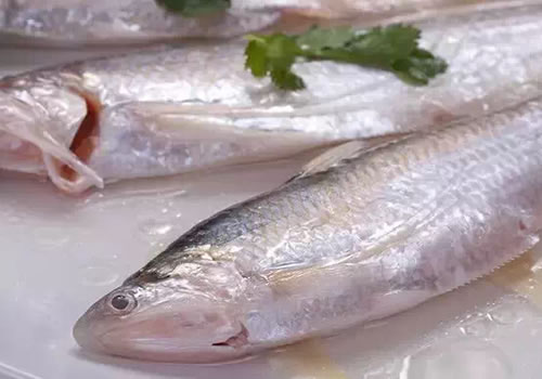 1532575154032004754.jpg 19.jpg