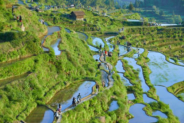 1689071323510010660.jpeg 1689030442045_64ac8f2a32e8f50001530b35.jpeg