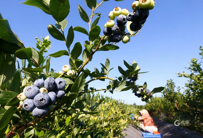 1688704718938009706.jpg 02.jpg