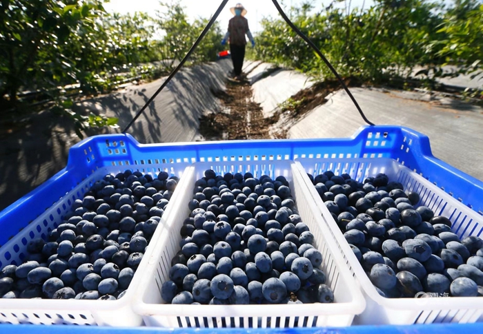 1688704729154028058.jpg 03.jpg