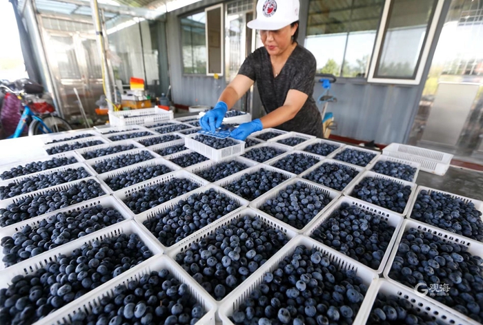 1688704763686098714.jpg 04.jpg