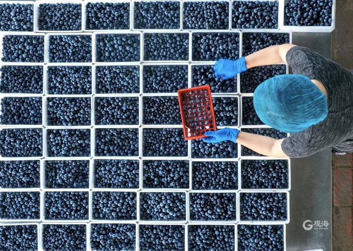 1688704775900074792.jpg 05.jpg