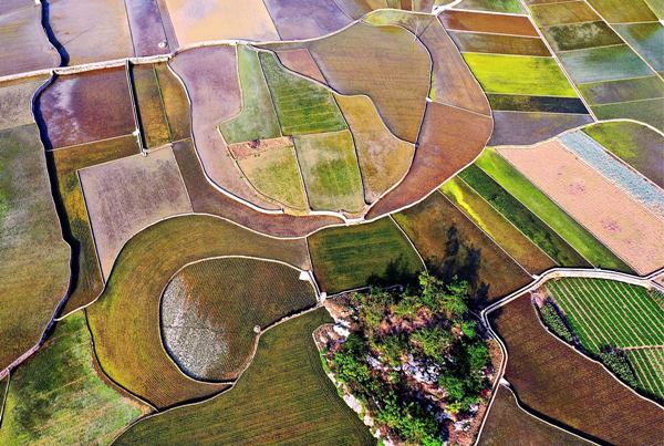 1686636153229044990.jpg 6485558ca31033ad342acf49_副本.jpg