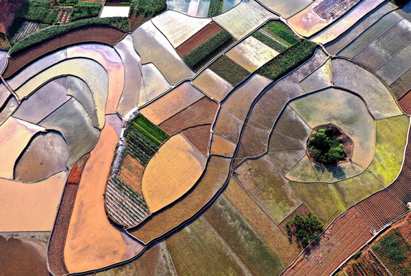 1686636193410030689.jpg 6485558ca31033ad342acf55_副本.jpg