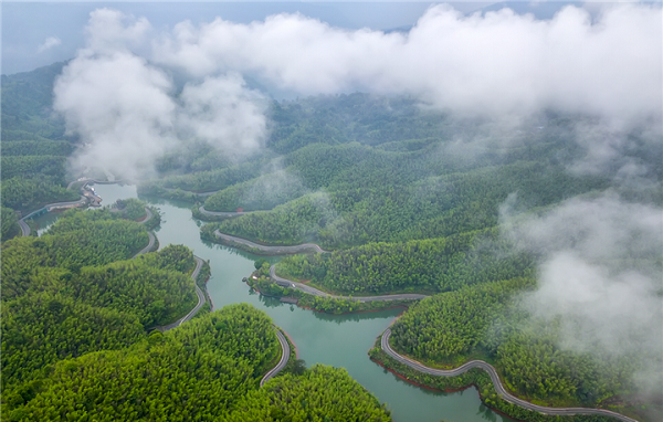 1688537925536018241.png 1688365648496646.png