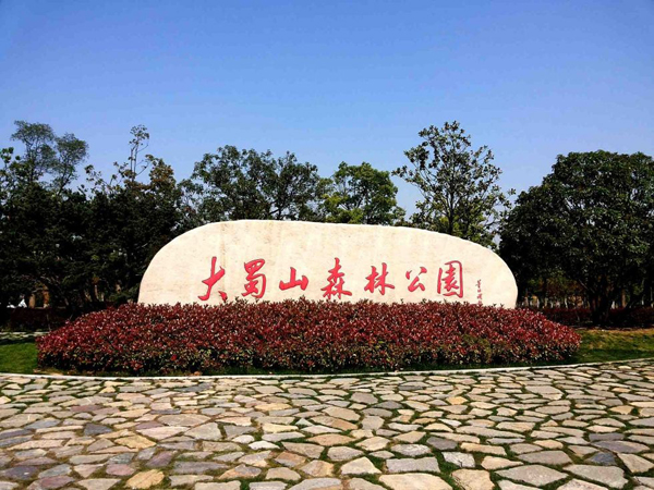 1537322120193093722.jpg dashushan-600.jpg