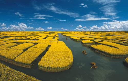 Taizhou city offers fantastic spring outings