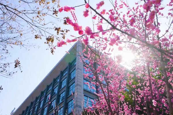 Spring comes to Hefei high-tech zone