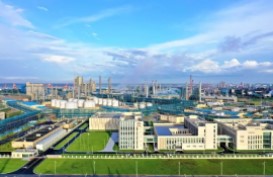 Qinzhou Port's green petrochemical industry flourishes