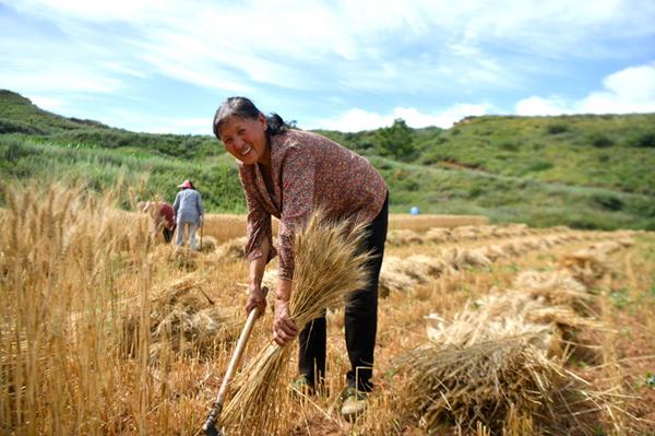 1689645903218083735.jpg W020230710280337928164_副本.jpg