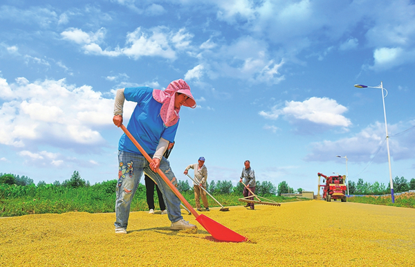 1689645971804009986.jpg W020230702238527908460_副本.jpg