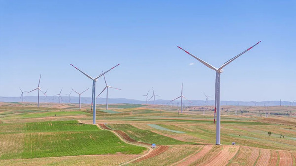 1689745946995067897.jpg 640 (4)_副本.jpg