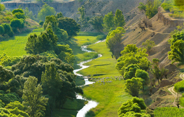 1689925070321093391.jpg 图片8.jpg