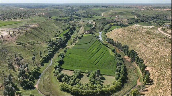 1690447150553085865.jpg 图片22.jpg