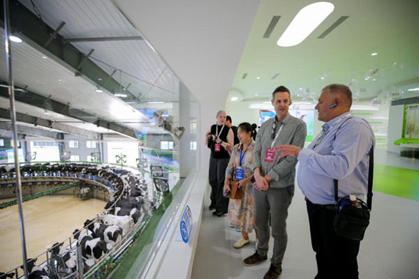 1691400957458072092.jpg yili 3_副本.jpg