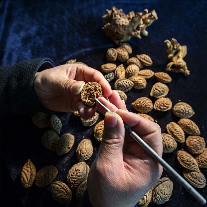 1689326068583008801.jpg 35.jpg