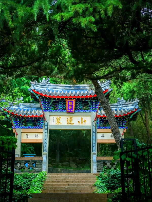 1689302165543070254.jpg 14-yt-1_副本.jpg