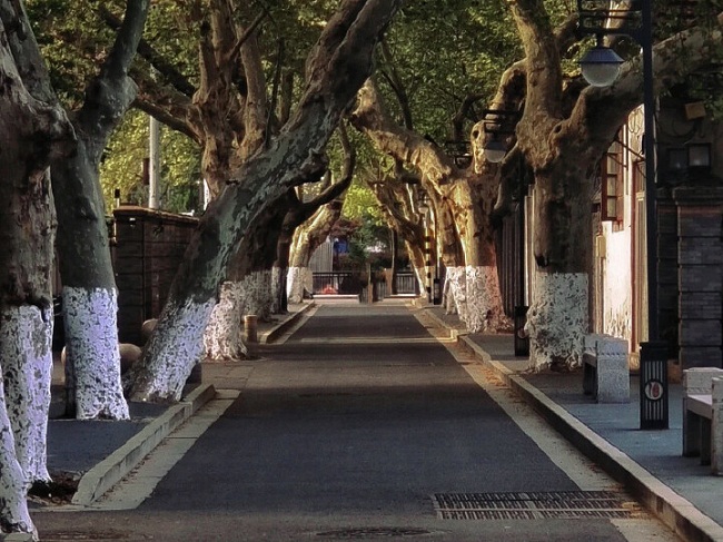 1691637620828084618.jpg 5f4aefea-2a46-4808-b906-6fb0fc0922FM.jpg