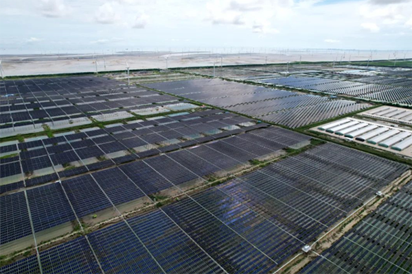 1692088030876057695.png 如东1.png